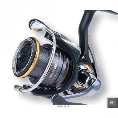 Ritė Legalis LT 20' Daiwa liko tik 2500 dydis 1