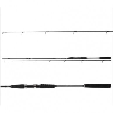 Spiningas šlakinis lašišinis Seahunter X Seatrout 3.1m 10-40gr Daiwa